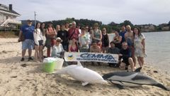 Una treintena depersonas aprenden en Noia a rescatar animales marinos de la mano de Cemma