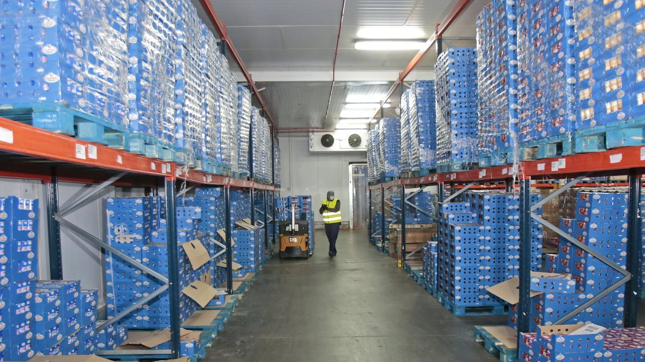 Clun logra 1,2 millones de euros del PERTE agroalimentario para la factoría que elabora sus yogures Clesa