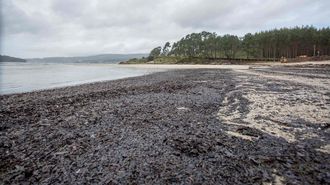 Banco de marisqueo en la playa de Lourido