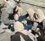 El Oso y sus criados �atraparon� ayer al diputado del PSOE Vicente Docasar. 