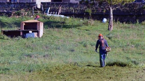 Un trabajador desbrozando