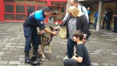 Un hogar para un h�roe canino