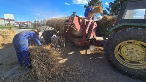 La malla tradicional permite separar el grano de centeno de la hierba, que seguir secando hasta enero.