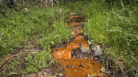 El agua ferruginosa tiña el paisaje de un intenso color rojizo en las cercanías del manantial de Augas Férreas