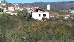 Los vecinos piden al Concello de Ourense que limpie la nica parcela que queda sin desbrozar en la zona, donde se resguardan los jabales durante el da.