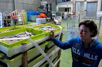 La mercanc�a decomisada est� almacenada en las instalaciones de Frigor�ficos Albeda. 