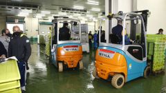 Carretillas, portapal�s o empiladores para lonjas (Burela, en foto de archivo) son algunas de las m�quinas que pueden cofinanciarse con las subvenciones que reparte Mar