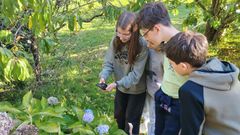 Los Ecovixas utilizan una app para conocer la naturaleza.