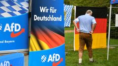 Carteles electorales de AfD en Baviera.