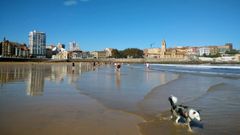 El buen tiempo ha llevado a muchos gijoneses a acercarse a la playa de San Lorenzo.