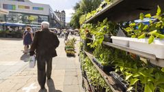 Imagen de la feria de este jueves