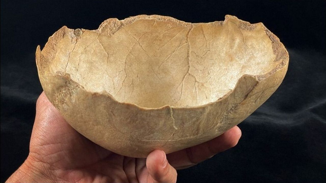 Una investigación en cuevas de Granada revela que el canibalismo fue recurrente en el sur de Iberia durante el Neolítico