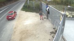 Lanzan un perro sobre la verja de una protectora de Pontevedra