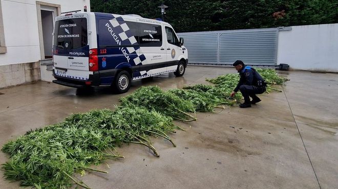 Hallazgo de 50 kilos de marihuna en Poio