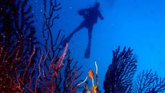 Las im�genes del 107 aniversario del�IEO