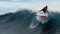 Pascale Honore haciendo surf