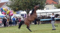 FERIA CABALLAR Y MAQUINARIA AGRICOLA EN SAN MARCOS