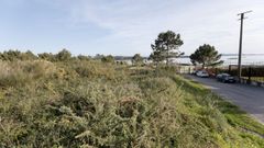 Lo primero ser� comprar los terrenos y adecuar la parcela