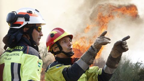 Bomberos de Málaga sofocan un incendio en Erosa, A Gudiña.