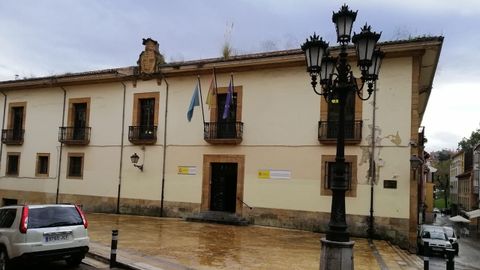 Plumero de la pampa en un edificio del Ministerio de Energ�a y Turismo en Oviedo
