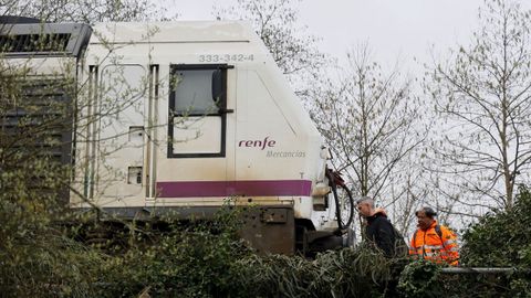 Tren de mercanc�as accidentado en Cambre