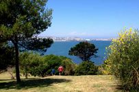 Las pr�cticas se realizan entre los arbustos de la parte baja. 