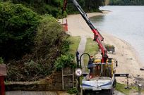 Se est�n acometiendo los trabajos para limpiar la maleza en las ruinas de la f�brica. 