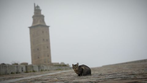 Imagen del exterior de la Torre de Hrcules, en A Corua