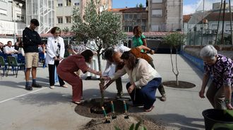 Una c�psula del tiempo y un olivo para clausurar el centenario del colegio San Francisco de Vilagarc�a