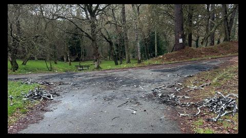Restos de coches quemados y cable de cobre en la carballeira de Corcoesto