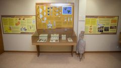 Vista de una sala del museo de Vilalba 