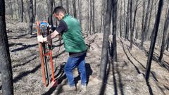 Un miembro del equipo de investigaci�n extrae muestras de tierra de una de las dos zonas donde se realizar�n las plantaciones experimentales. Los pinos quemados que aparecen en la imagen ya est�n talados y los tocones y ra�ces fueron arrancados del suelo
