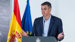 Pedro S�nchez, ayer, durante un encuentro sobre pol�ticas de apoyo a la discapacidad.