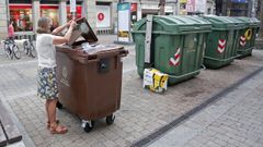El Concello de Pontevedra inicia una campa�a para extender el uso de los contenedores de biorresiduos
