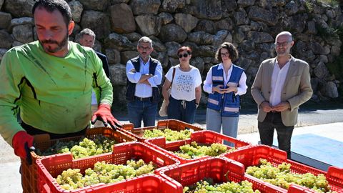 Medio Rural colabora en el control de la entrada de uva for�nea en las cinco denominaciones de origen gallegas durante la vendimia.