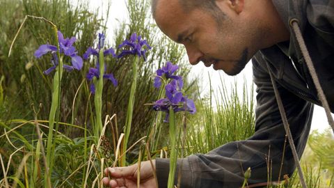 Un participante en una jornada de identificaci�n de orqu�deas silvestres en la sierra de O Courel