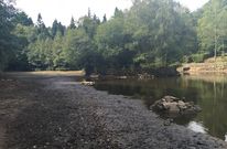 <span lang= es-es >Un lago casi seco que exhibe su abandono</span>. Muros de contenci�n ca�dos, una fauna que no es aut�ctona e impide la biodiversidad, y la acumulaci�n de sedimentos en el lago es lo que ha quedado a la luz este mes en un a�o de pocas lluvias. Casti�eiras est� casi vac�o y su deterioro a la vista de todos. 