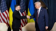 Volod�mir Zelenski, durante su reuni�n con Donald Trump en Davos