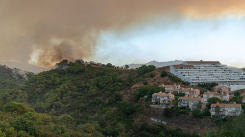 El incendio se origin� la pasada madrugada
