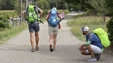 Imagen de archivo de unos peregrinos haciendo el Camino de Santiago