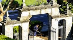 Los operarios del plan de empleo pasan la ma�ana en el cementerio. 