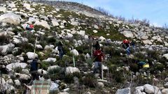 La reforestaci�n comenz� a media ma�ana