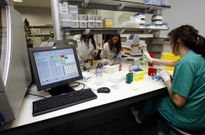 Los grupos de Gen�tica, coordinados por �ngel Carracedo, fueron los que m�s publicaron. 