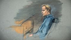 Dibujo de una de las vistas del juicio a Marius Borg Hoiby.