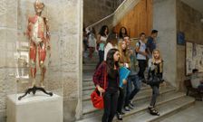 Los alumnos de Medicina, en la foto el inicio de curso del pasado a�o, tendr�n 10 plazas m�s. 