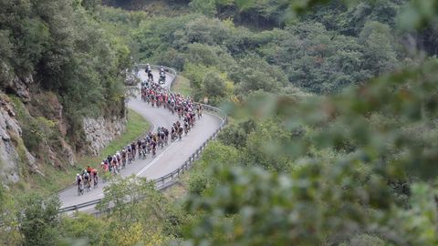 Vista general del pelotón de ciclistas durante la 17ª etapa este miércoles, que transcurre este miércoles entre Unquera (Cantabria) y los Lagos de Covadonga