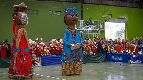 Noia, Porto do Son, Ribeira y Outes despidieron el carnaval