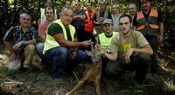 La Sociedad de Caza de Lal�n empez� la semana pasada con el corzo y esta lo hace con el jabal�.