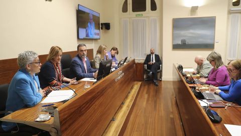 La consejera de Salud, Concepción Saavedra, responde este jueves en la Junta General.