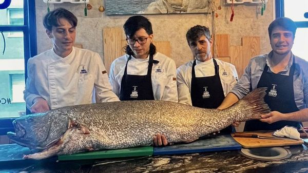 Adri�n Albino, a la izquierda, muestra junto a su equipo la corvina distribuida por Horesmar.